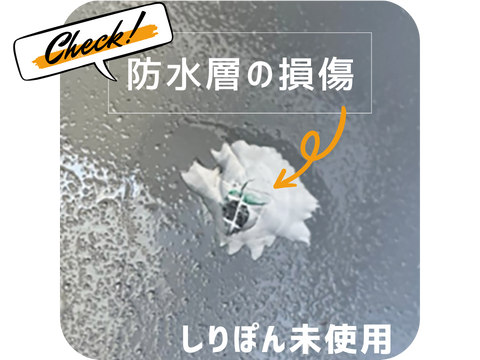 しりぽん未使用時の状態